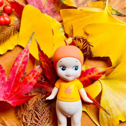 Autumn Harvest Series