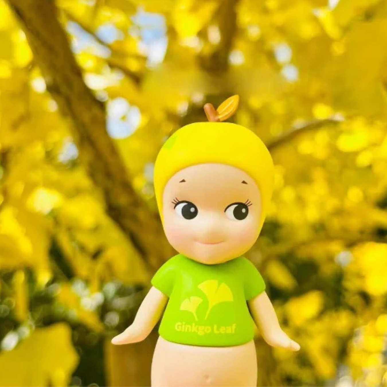 Autumn Harvest Series