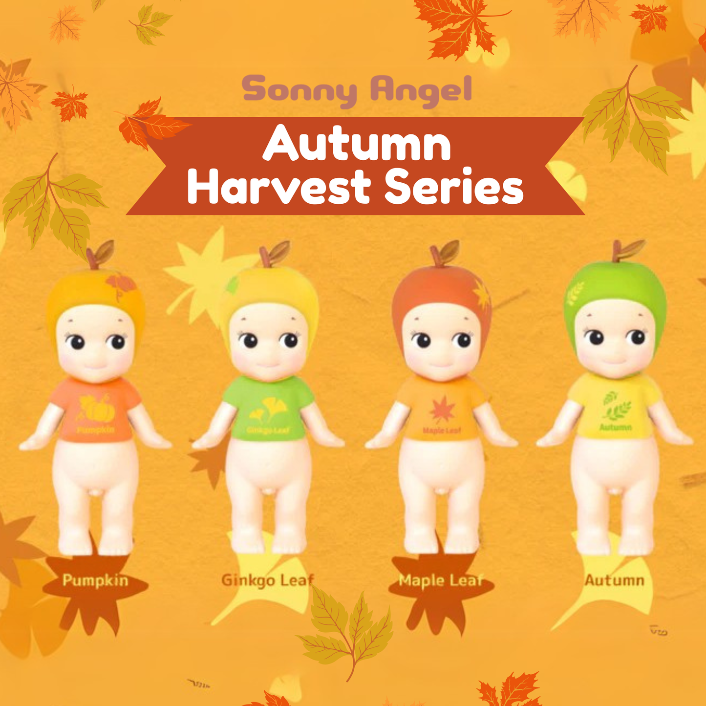 Autumn Harvest Series